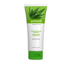 Herbal Aloe Fortifying Shampoo 
