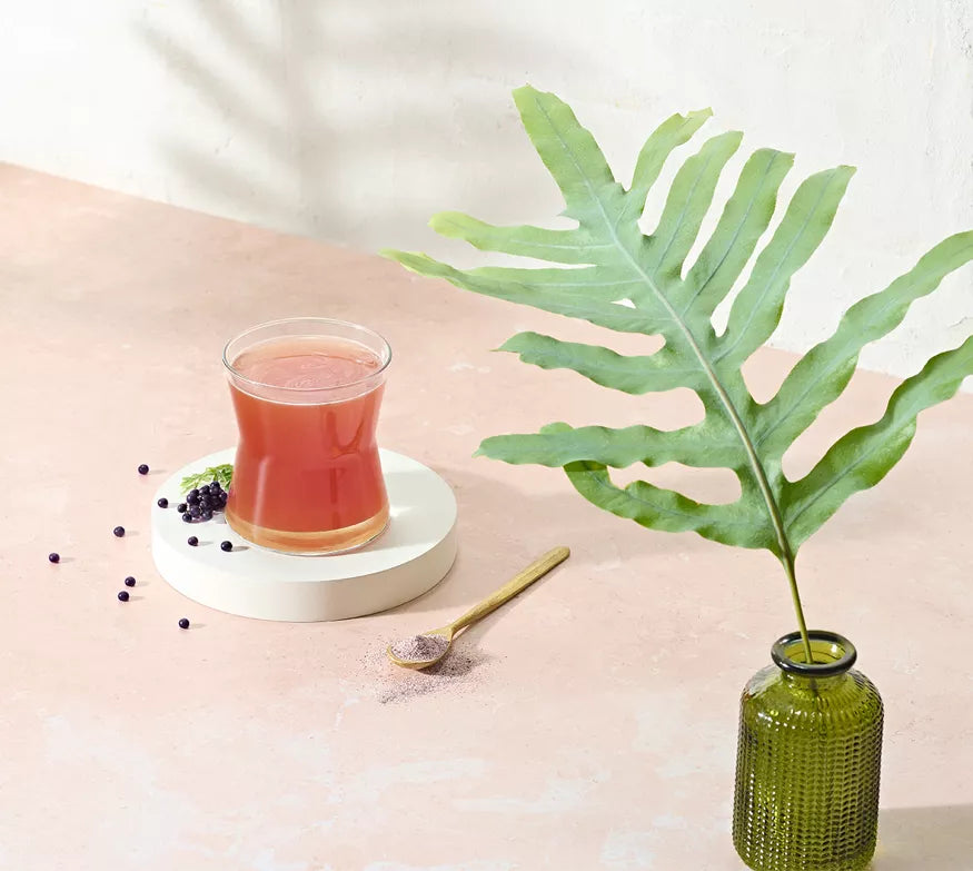 Reforzador del sistema inmunitario